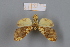  ( - 3192-3194)  @11 [ ] CreativeCommons Attribution Share-Alike (by-sa) (2023) Dominik Rabl University of Vienna, Dept of Botany and Biodiversity Research