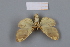  ( - 3192-3194)  @11 [ ] CreativeCommons Attribution Share-Alike (by-sa) (2023) Dominik Rabl University of Vienna, Dept of Botany and Biodiversity Research