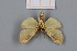  ( - 3173-3176)  @11 [ ] CreativeCommons Attribution Share-Alike (by-sa) (2023) Dominik Rabl University of Vienna, Dept of Botany and Biodiversity Research