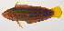  ( - MOH-044)  @11 [ ] CreativeCommons  Attribution Non-Commercial (by-nc) (2008) Unspecified Smithsonian Institution National Museum of Natural History
