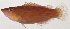  ( - MOH-123)  @11 [ ] CreativeCommons  Attribution Non-Commercial (by-nc) (2008) Unspecified Smithsonian Institution National Museum of Natural History