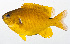  ( - MOH-104)  @11 [ ] CreativeCommons  Attribution Non-Commercial (by-nc) (2008) Unspecified Smithsonian Institution National Museum of Natural History