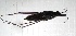  ( - HET_TOY_18.7)  @11 [ ] CreativeCommons Attribution NonCommercial ShareAlike (2021) (2021) University of Lodz Unspecified