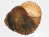  ( - BIOUG02457-F09)  @14 [ ] CreativeCommons - Attribution (2012) CBG Photography Group Centre for Biodiversity Genomics