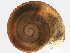  ( - BIOUG02457-G12)  @14 [ ] CreativeCommons - Attribution (2012) CBG Photography Group Centre for Biodiversity Genomics