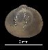  ( - MZB 2017-0962-1)  @11 [ ] CreativeCommons - Attribution Share-Alike (2019) Unspecified Museu de Ciencies Naturals de Barcelona - Zoology