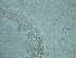  ( - 10A25C14)  @11 [ ] by_nc_nd (2014) Unspecified Ghent University