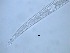  ( - 13X6K14)  @11 [ ] by_nc_nd (2014) Unspecified Ghent University