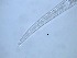  ( - 13X6K14)  @11 [ ] by_nc_nd (2014) Unspecified Ghent University