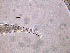  ( - 15C17A12)  @11 [ ] by_nc_nd (2012) Unspecified Ghent University