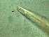  ( - 18C16M12)  @11 [ ] by_nc_nd (2012) Unspecified Ghent University