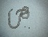 (Acanthopharynx - 19X6L14)  @11 [ ] by_nc_nd (2014) Unspecified Ghent University