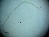  ( - 21X6L14)  @11 [ ] by_nc_nd (2014) Unspecified Ghent University