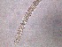  ( - 26C19A12)  @11 [ ] by_nc_nd (2012) Unspecified Ghent University