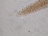  ( - 31H6K12)  @11 [ ] by_nc_nd (2012) Unspecified Ghent University