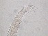  ( - 32H6K12)  @11 [ ] by_nc_nd (2012) Unspecified Ghent University