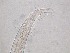  ( - 32H6K12)  @11 [ ] by_nc_nd (2012) Unspecified Ghent University
