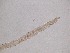  ( - 33H6K12)  @11 [ ] by_nc_nd (2012) Unspecified Ghent University