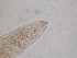  ( - 33H6K12)  @11 [ ] by_nc_nd (2012) Unspecified Ghent University