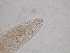  ( - 33H6K12)  @11 [ ] by_nc_nd (2012) Unspecified Ghent University