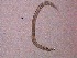  ( - 35C20A12)  @11 [ ] by_nc_nd (2012) Unspecified Ghent University