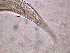  ( - 35C20A12)  @11 [ ] by_nc_nd (2012) Unspecified Ghent University
