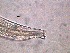  ( - 35C20A12)  @11 [ ] by_nc_nd (2012) Unspecified Ghent University