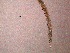  ( - 4C23A12)  @11 [ ] by_nc_nd (2012) Unspecified Ghent University