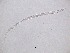  ( - 66H6K12)  @11 [ ] by_nc_nd (2012) Unspecified Ghent University