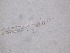  ( - 66H6K12)  @11 [ ] by_nc_nd (2012) Unspecified Ghent University