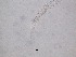  ( - 66H6K12)  @11 [ ] by_nc_nd (2012) Unspecified Ghent University