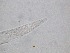  ( - 66H6K12)  @11 [ ] by_nc_nd (2012) Unspecified Ghent University