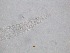  ( - 66H6K12)  @11 [ ] by_nc_nd (2012) Unspecified Ghent University