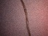  (Calyptronema - 6C9B12)  @11 [ ] by_nc_nd (2012) Unspecified Ghent University