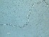  ( - 86X20C15)  @11 [ ] by_nc_nd (2015) Unspecified Ghent University