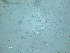  ( - 86X20C15)  @11 [ ] by_nc_nd (2015) Unspecified Ghent University