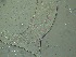  ( - 86X20C15)  @11 [ ] by_nc_nd (2015) Unspecified Ghent University