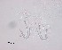  ( - 100914-2-1-2-1)  @11 [ ] CreativeCommons - Attribution Non-Commercial Share-Alike (2017) Unspecified Norwegian Veterinary Institute