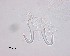  ( - 100914-2-1-2-1)  @11 [ ] CreativeCommons - Attribution Non-Commercial Share-Alike (2017) Unspecified Norwegian Veterinary Institute