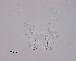  ( - 100914-3-15)  @11 [ ] CreativeCommons - Attribution Non-Commercial Share-Alike (2017) Unspecified Norwegian Veterinary Institute
