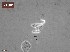  ( - 110614-4-1-1-1)  @11 [ ] CreativeCommons - Attribution Non-Commercial Share-Alike (2017) Unspecified Norwegian Veterinary Institute