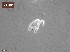  ( - 110614-4-1-3-2)  @11 [ ] CreativeCommons - Attribution Non-Commercial Share-Alike (2017) Unspecified Norwegian Veterinary Institute