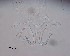  ( - 110614-5-1-1-1)  @11 [ ] CreativeCommons - Attribution Non-Commercial Share-Alike (2017) Unspecified Norwegian Veterinary Institute