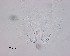  ( - 110614-5-1-1-2)  @11 [ ] CreativeCommons - Attribution Non-Commercial Share-Alike (2017) Unspecified Norwegian Veterinary Institute