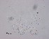  ( - 110614-5-1-1-4)  @11 [ ] CreativeCommons - Attribution Non-Commercial Share-Alike (2017) Unspecified Norwegian Veterinary Institute