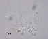  ( - 110614-5-1-1-4)  @11 [ ] CreativeCommons - Attribution Non-Commercial Share-Alike (2017) Unspecified Norwegian Veterinary Institute