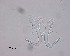  ( - 120614-12-1-1-1)  @11 [ ] CreativeCommons - Attribution Non-Commercial Share-Alike (2017) Unspecified Norwegian Veterinary Institute