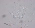 ( - 120614-12-1-1-3)  @11 [ ] CreativeCommons - Attribution Non-Commercial Share-Alike (2017) Unspecified Norwegian Veterinary Institute