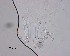  ( - 120614-12-1-1-4)  @11 [ ] CreativeCommons - Attribution Non-Commercial Share-Alike (2017) Unspecified Norwegian Veterinary Institute