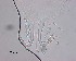  ( - 120614-12-1-1-4)  @11 [ ] CreativeCommons - Attribution Non-Commercial Share-Alike (2017) Unspecified Norwegian Veterinary Institute